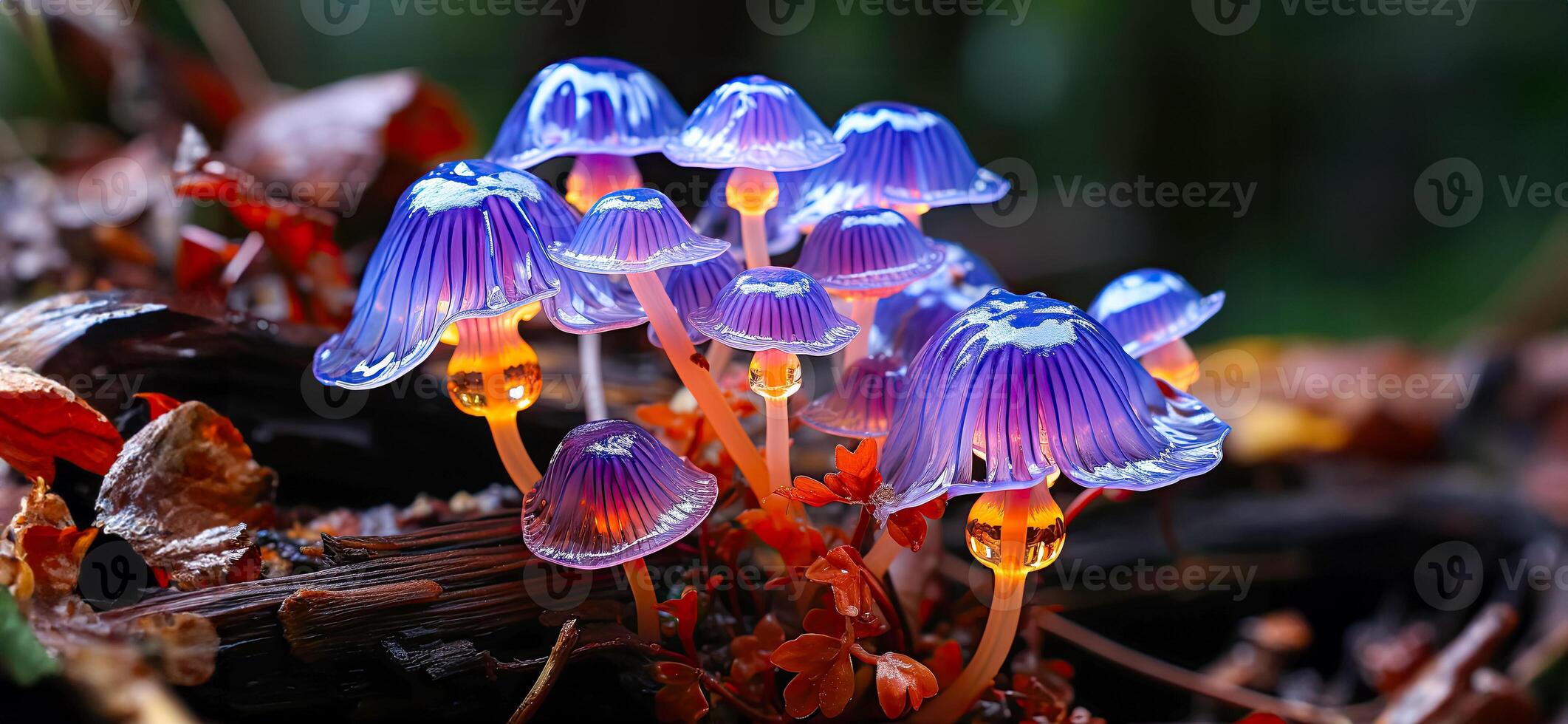 fantástico néon cogumelos crescendo dentro a floresta. psilocibo semilanceata cogumelos ai gerado foto