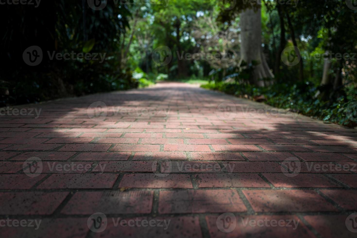 o Fort Canning em Singapura foto