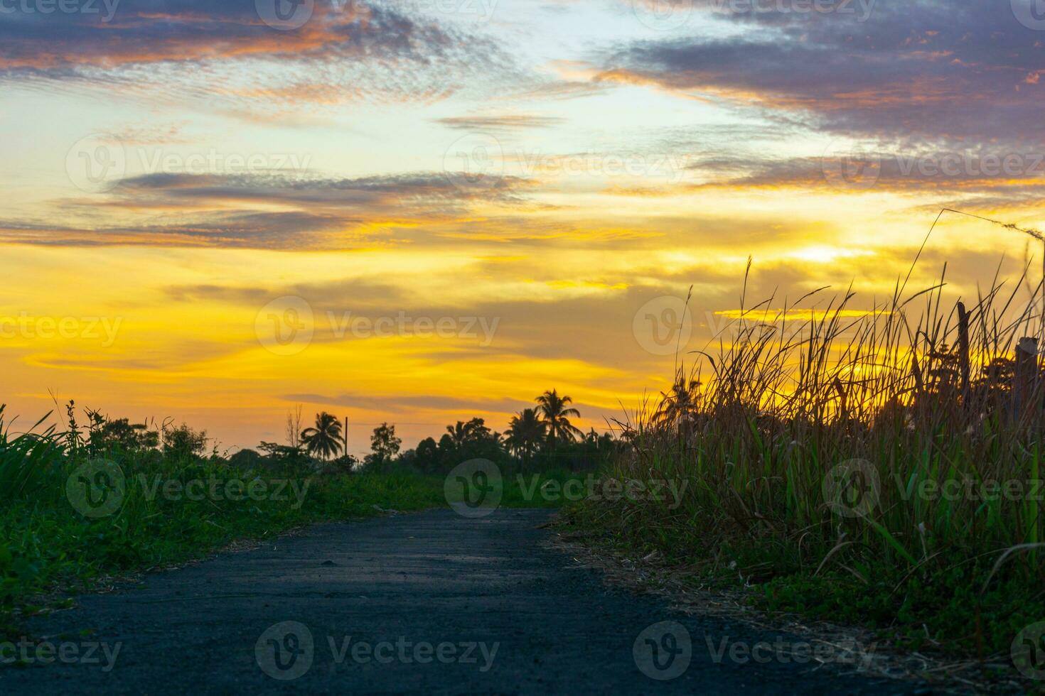 bela vista matinal indonésia panorama paisagem arrozais com cor de beleza e luz natural do céu foto