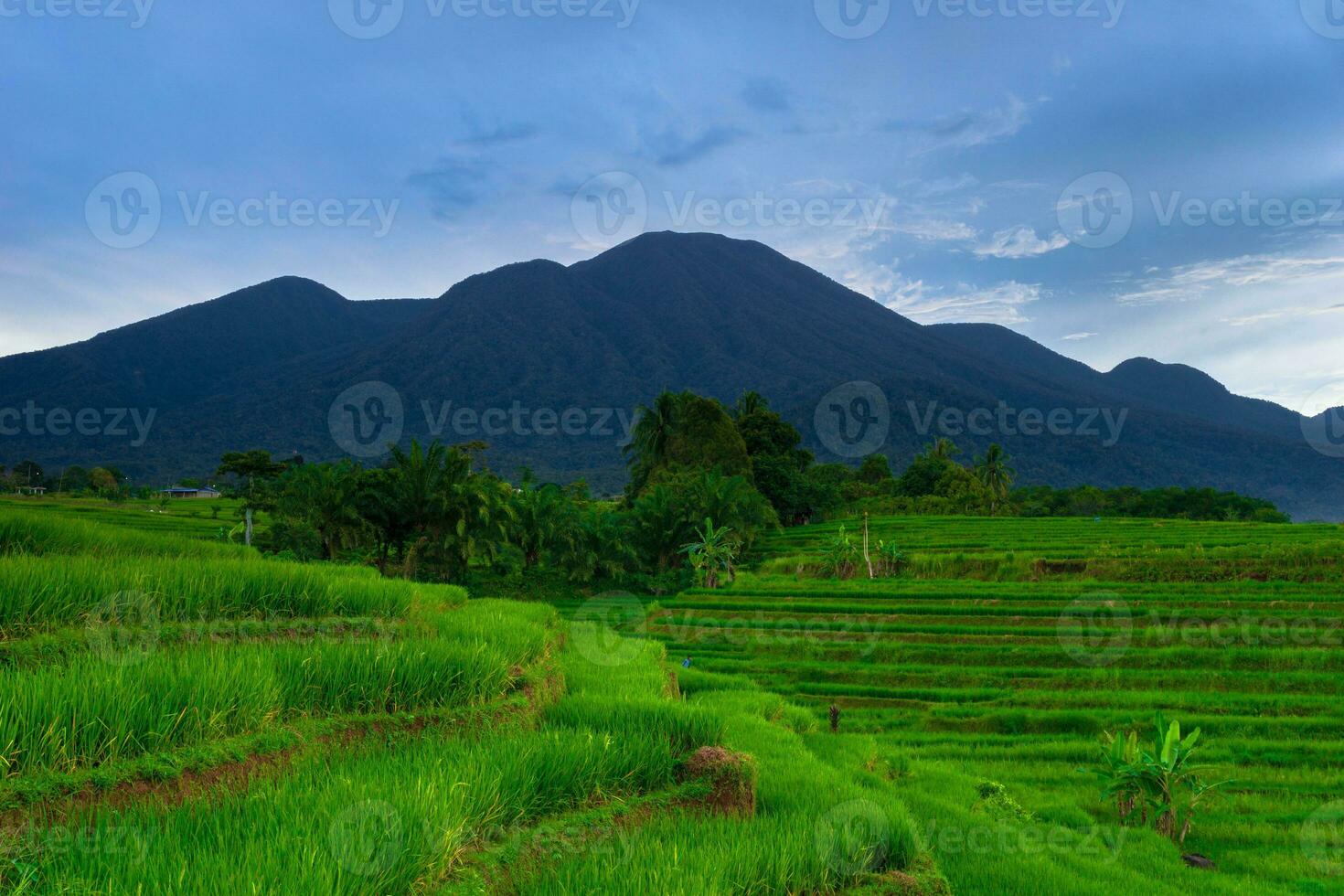 bela vista matinal indonésia panorama paisagem arrozais com cor de beleza e luz natural do céu foto