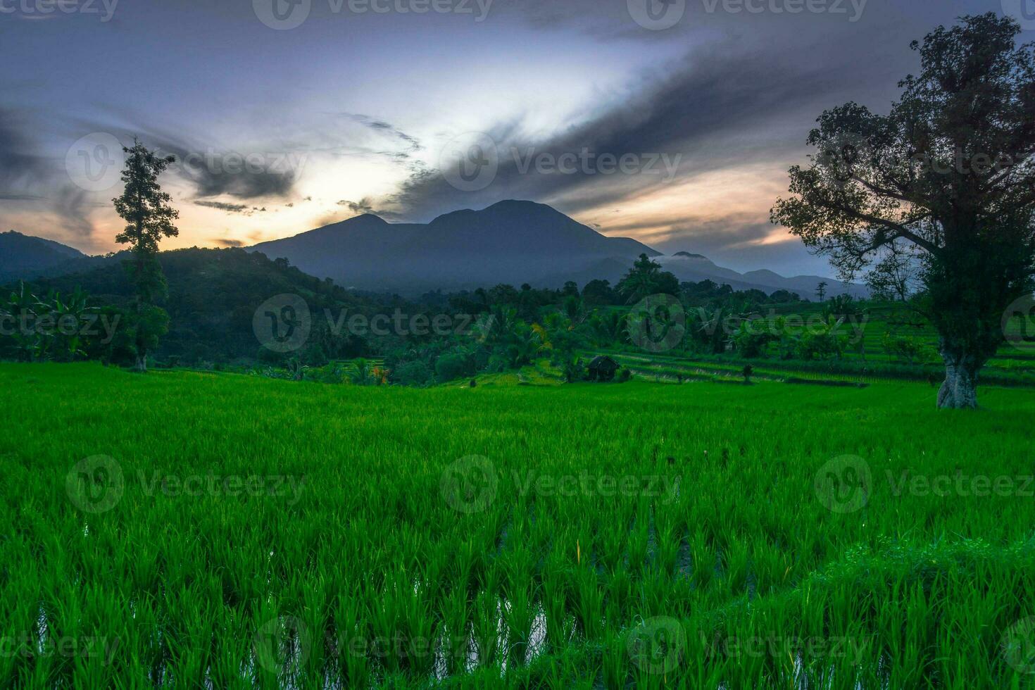 bela vista matinal indonésia panorama paisagem arrozais com cor de beleza e luz natural do céu foto