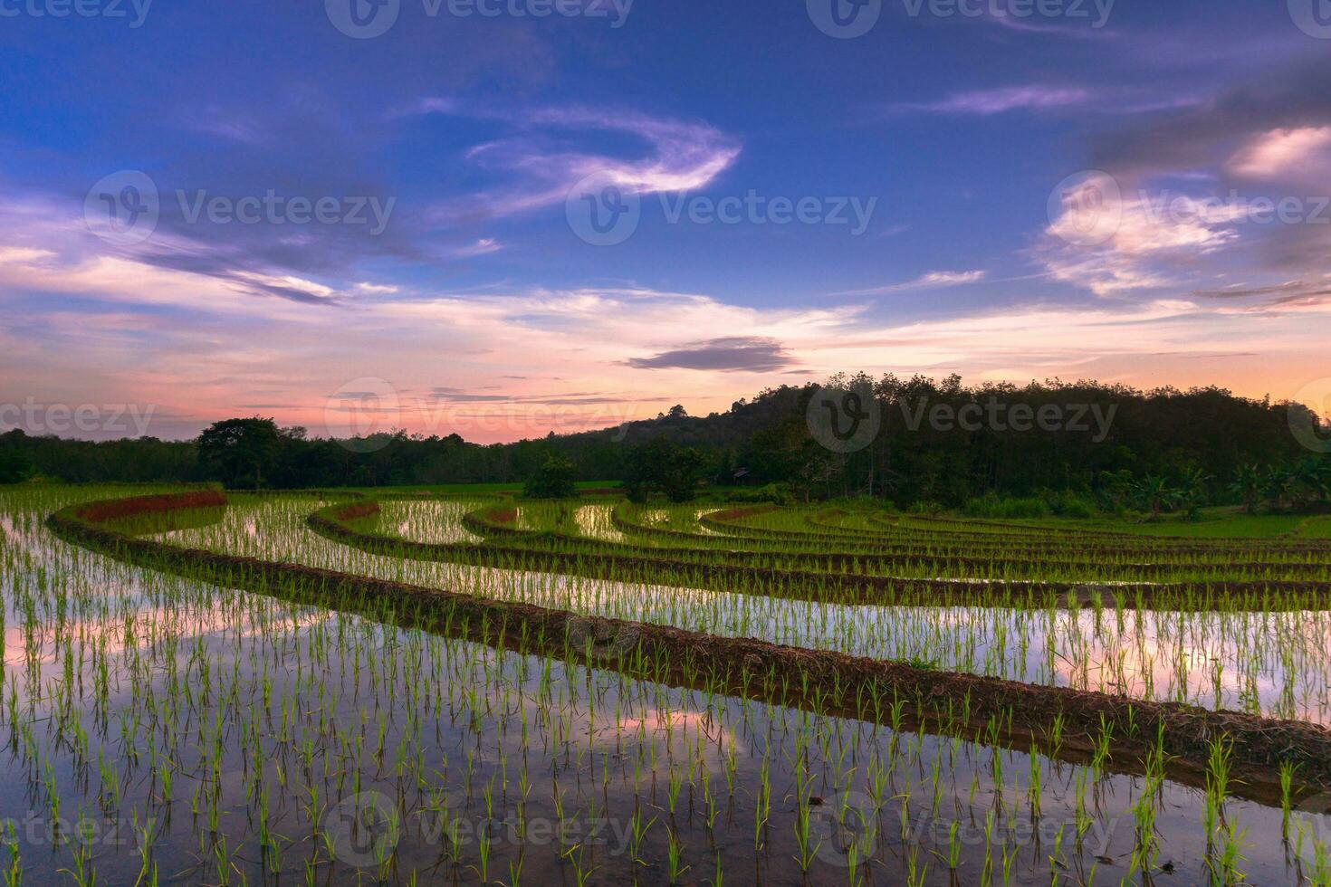 bela vista matinal indonésia panorama paisagem arrozais com cor de beleza e luz natural do céu foto