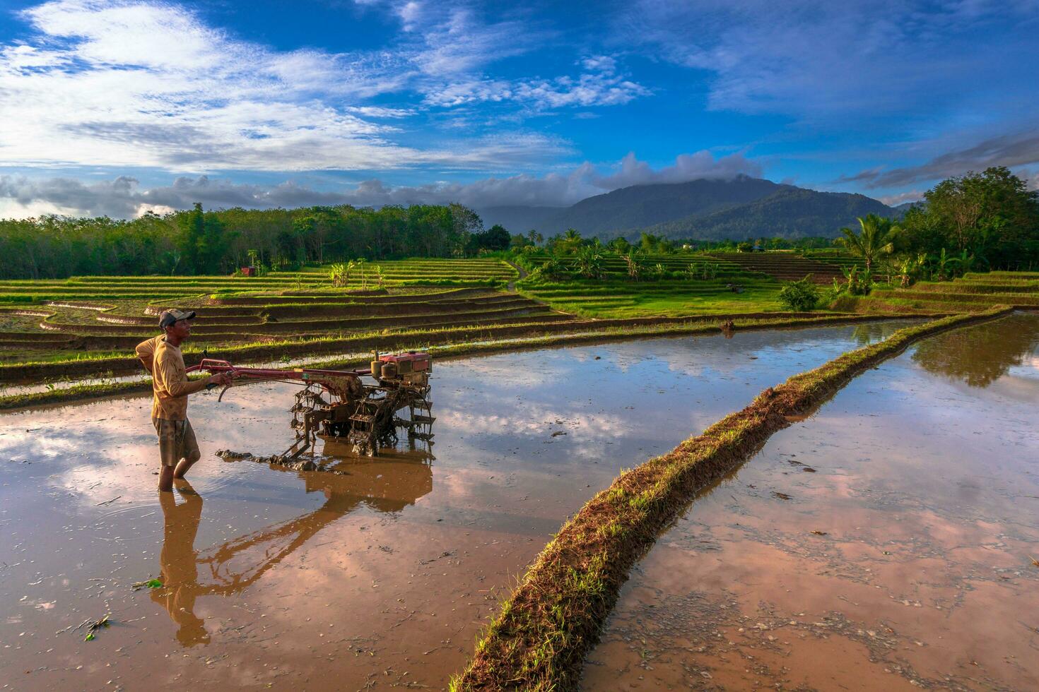 bela vista matinal indonésia panorama paisagem arrozais com cor de beleza e luz natural do céu foto