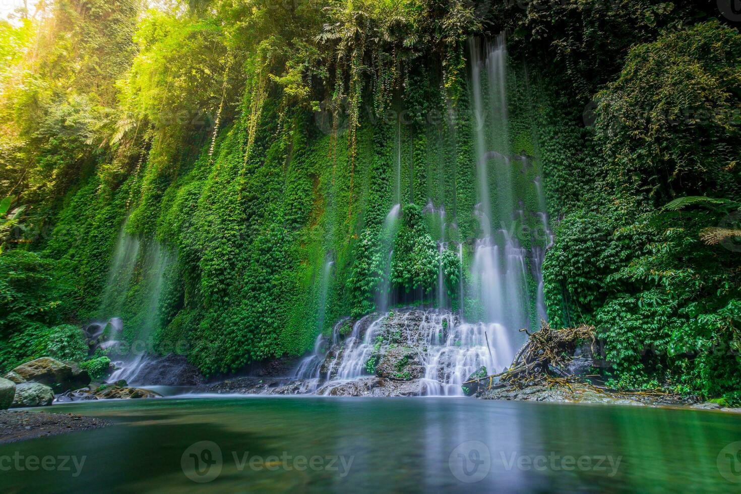 lindo manhã Visão Indonésia. panorama panorama arroz Campos com beleza cor e céu natural luz foto