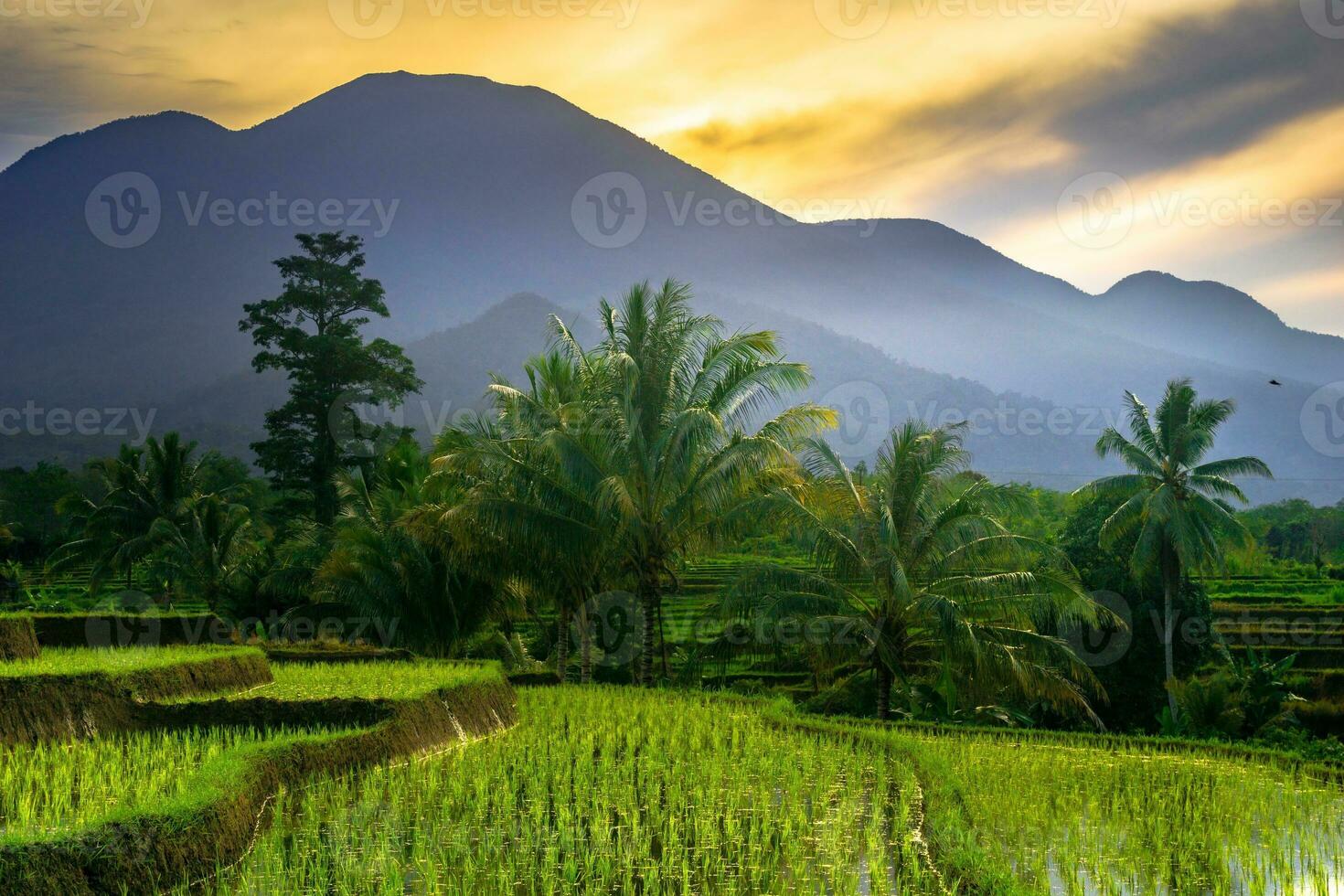 bela vista matinal indonésia panorama paisagem arrozais com cor de beleza e luz natural do céu foto