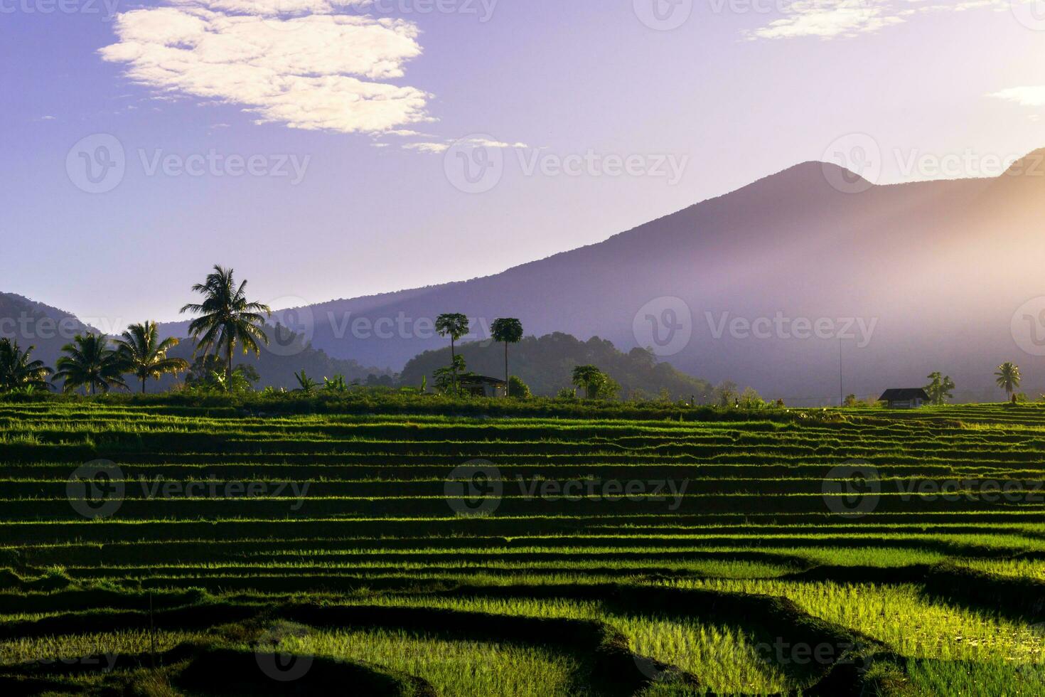 bela vista matinal indonésia panorama paisagem arrozais com cor de beleza e luz natural do céu foto