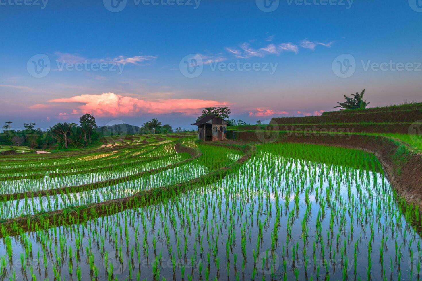 bela vista matinal indonésia panorama paisagem arrozais com cor de beleza e luz natural do céu foto