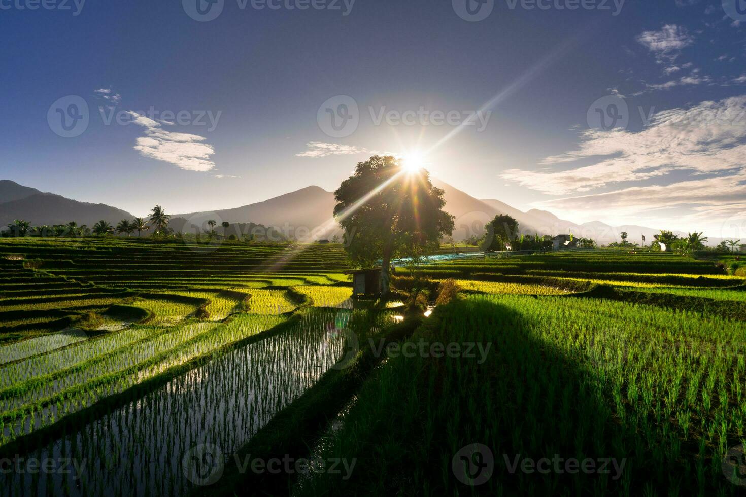 bela vista matinal indonésia panorama paisagem arrozais com cor de beleza e luz natural do céu foto