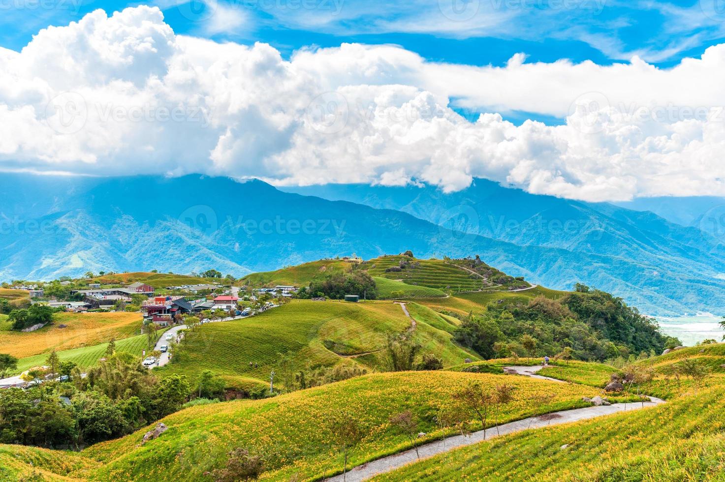 fazenda de flores de hemerocallis na montanha liushidan em hualien, taiwan foto