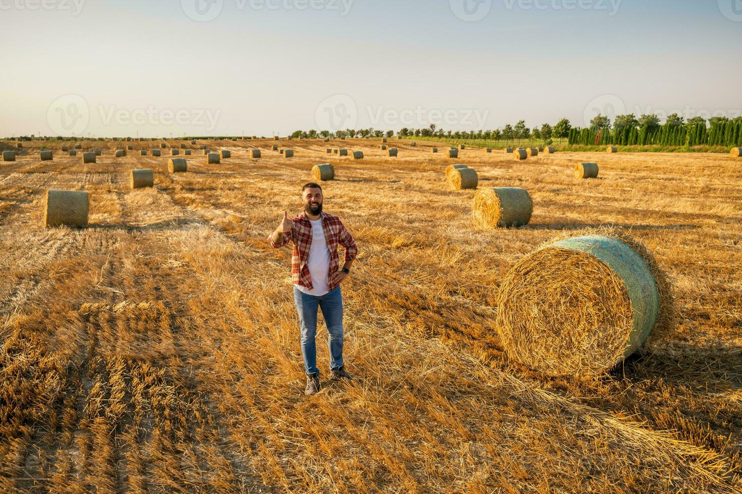 feliz agricultor é em pé ao lado fardos do feno. ele é satisfeito Porque do bem sucedido colheita. foto