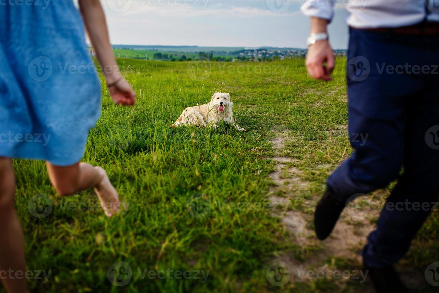 cachorro feliz está descansando com o dono na natureza. divirta-se com o cachorro dela no parque foto