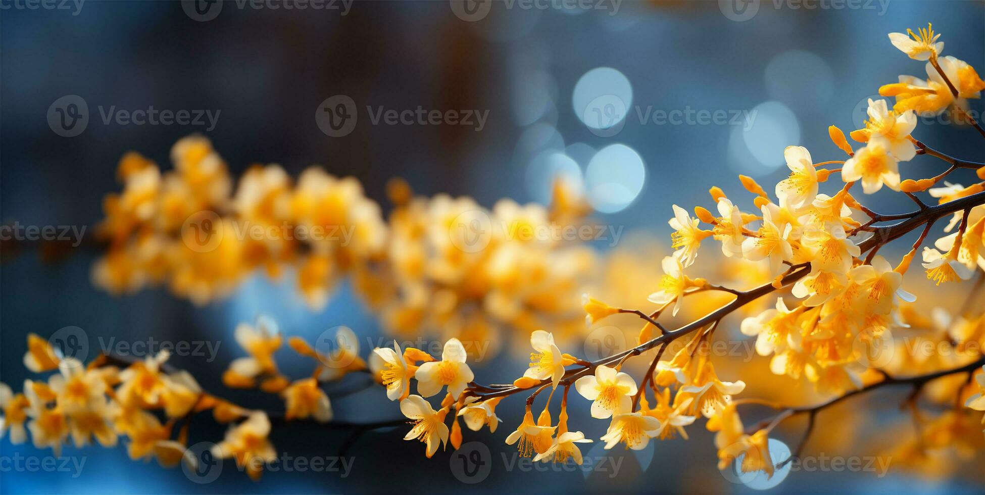 floração forsítia arbusto banhado dentro primavera luz do sol. ai gerado foto