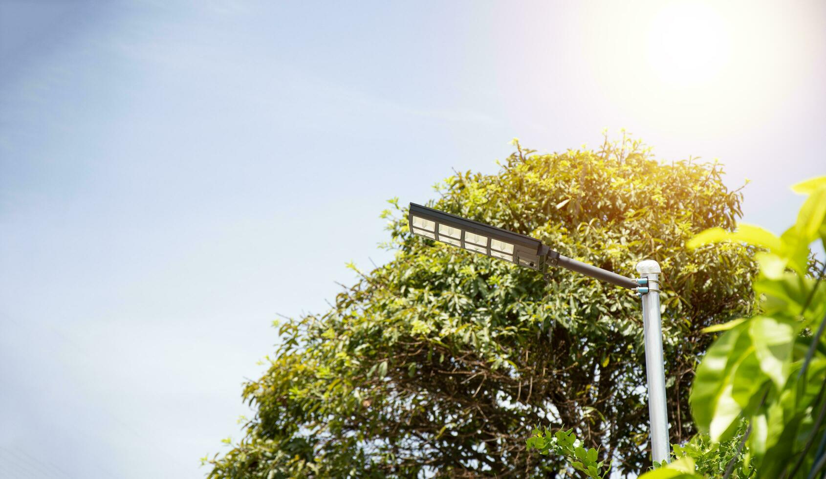 solar lâmpadas estão tornando-se popular e amplamente usado. foto