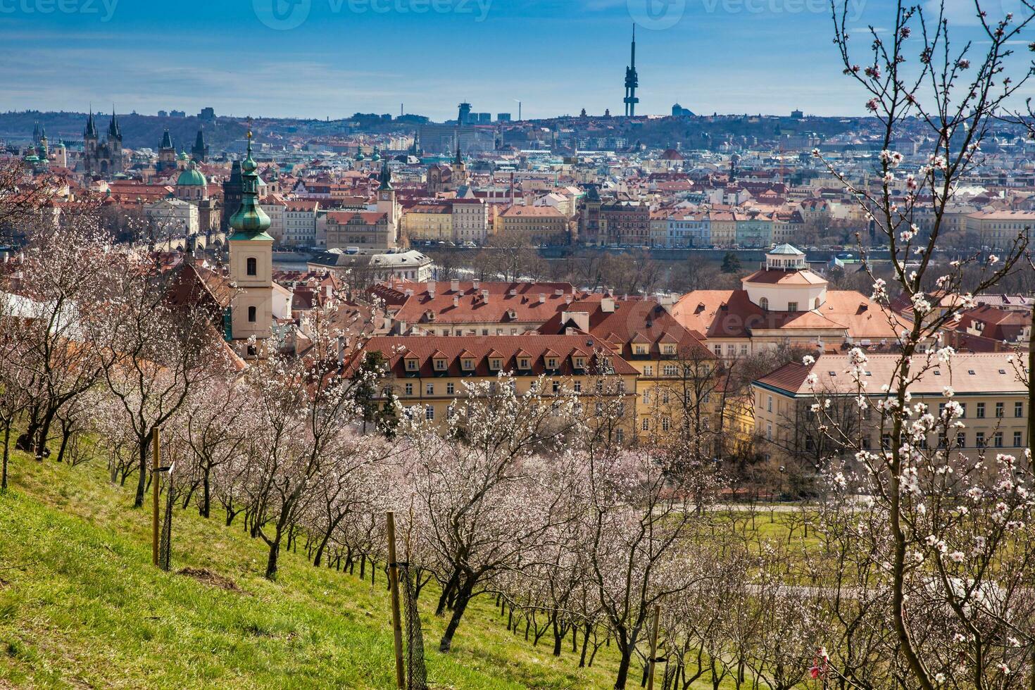 Praga cidade visto a partir de a Petrin jardins em uma ensolarado dia às a começando do Primavera foto