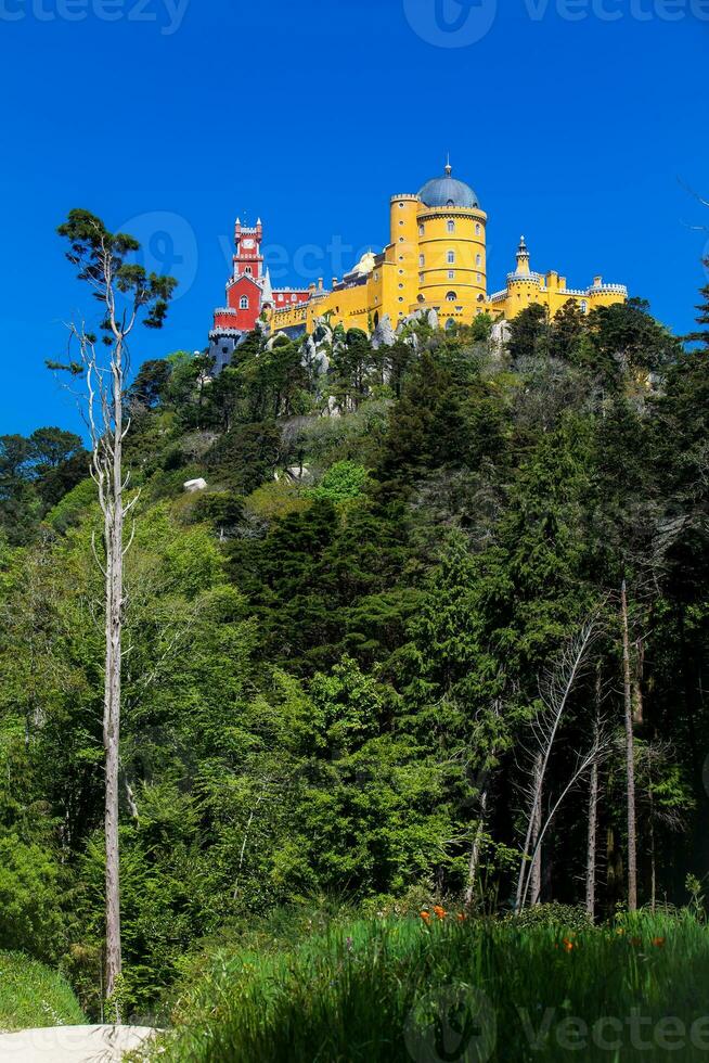 a pena Palácio visto a partir de a jardins do pena parque às a município do sintra foto