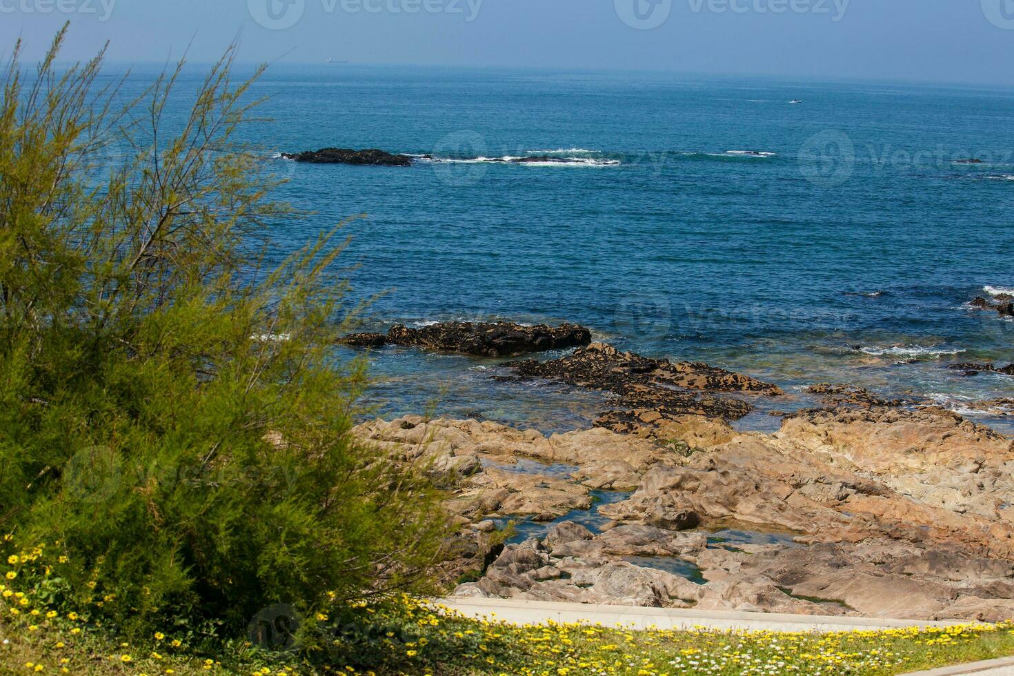 ensolarado dia às a lindo litoral e praias às porto cidade dentro Portugal foto