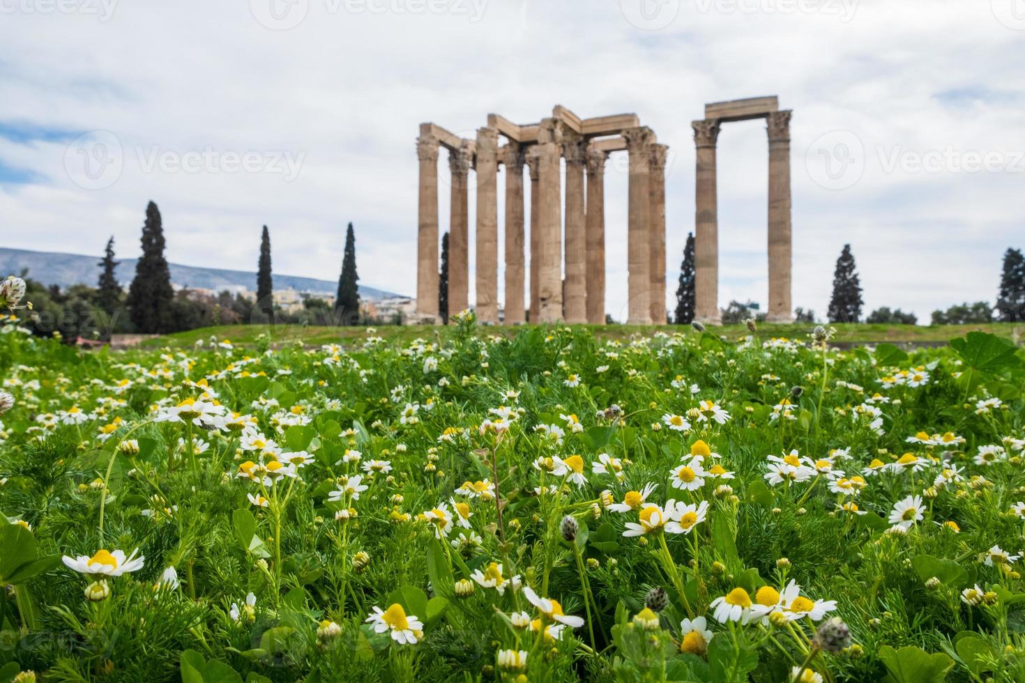 ruínas do antigo templo de Zeus Olímpico em Atenas, atrás do campo de margaridas foto
