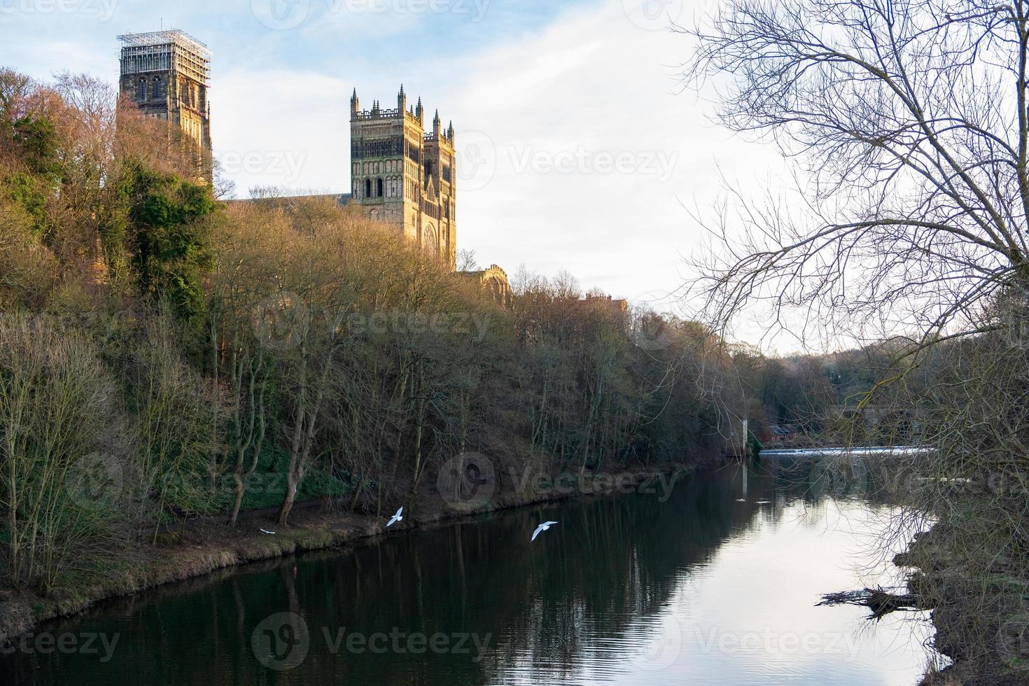 castelo e catedral de Durham e gaivotas voadoras sobre o rio wear, inglaterra, reino unido foto