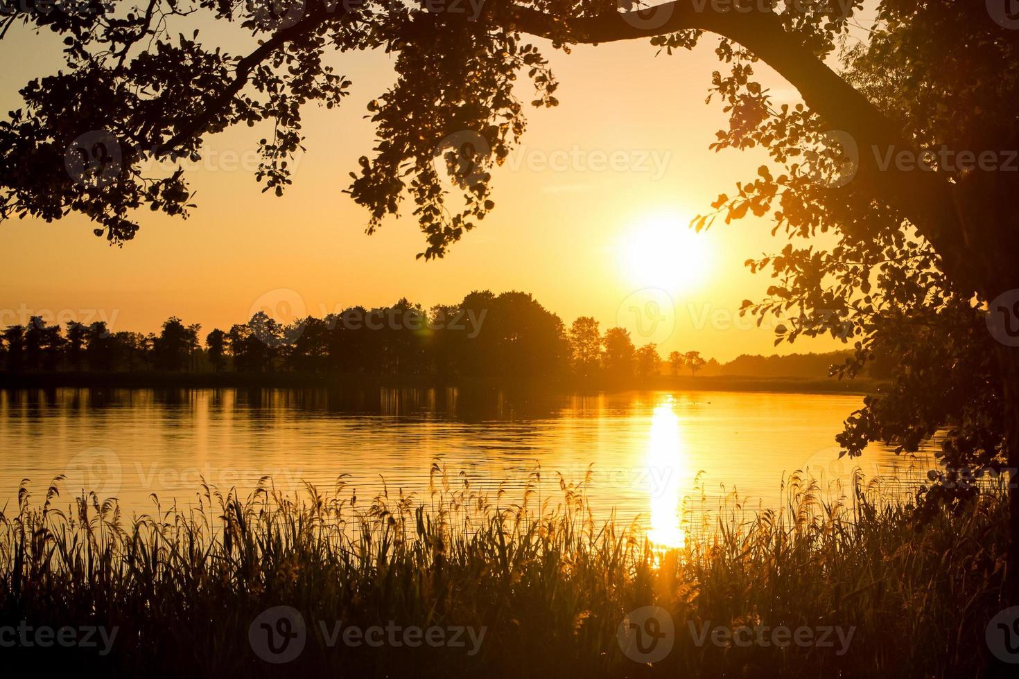 pôr do sol refletido na água contra um fundo de árvores foto