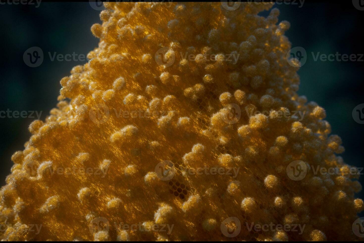 uma fechar acima do uma grupo do amarelo flores ai gerado foto