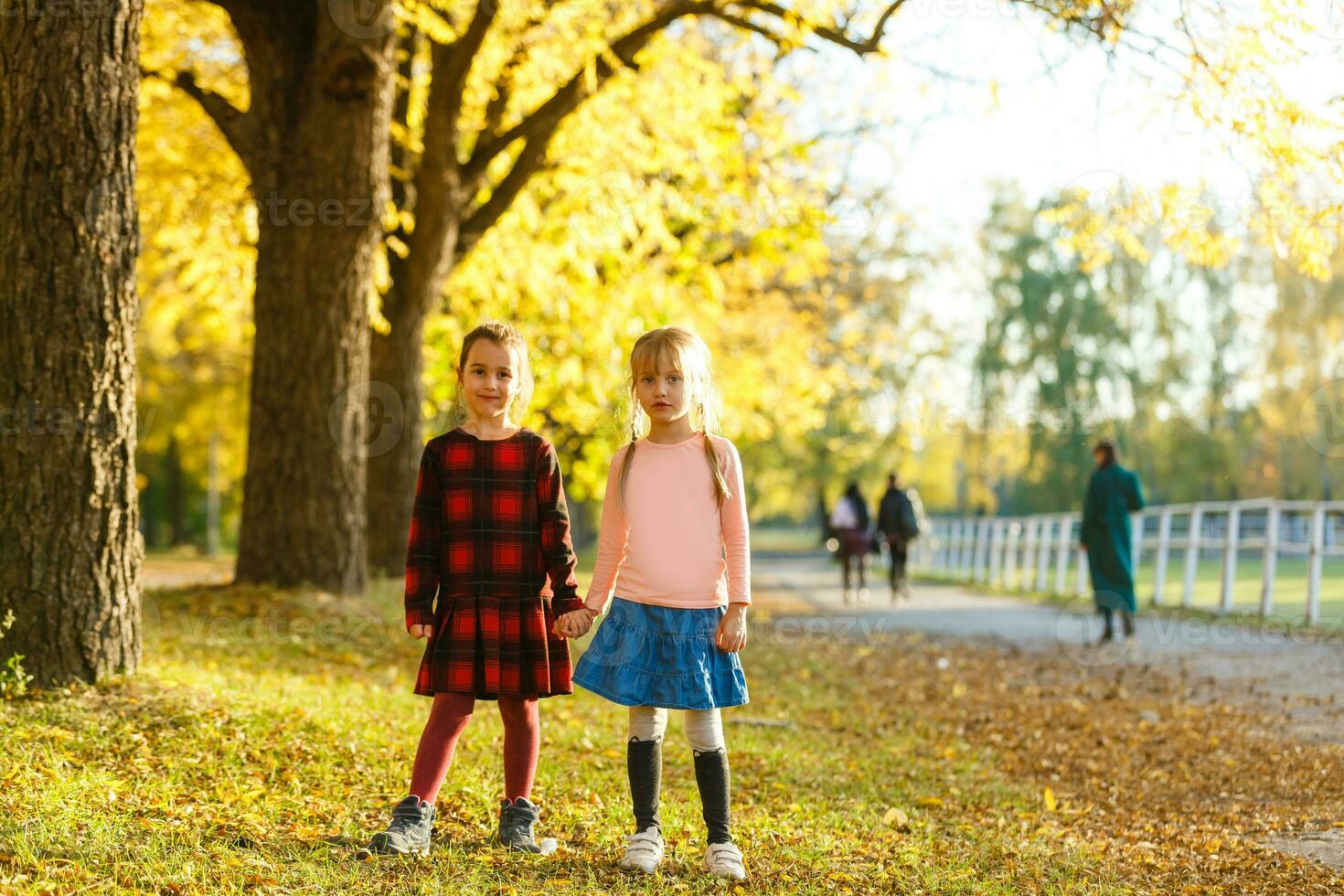 dois pequeno meninas dentro outono parque foto
