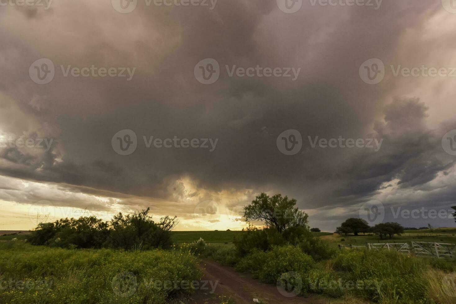 tormentoso céu vencimento para chuva dentro a Argentino interior, la pampa província, Patagônia, Argentina. foto