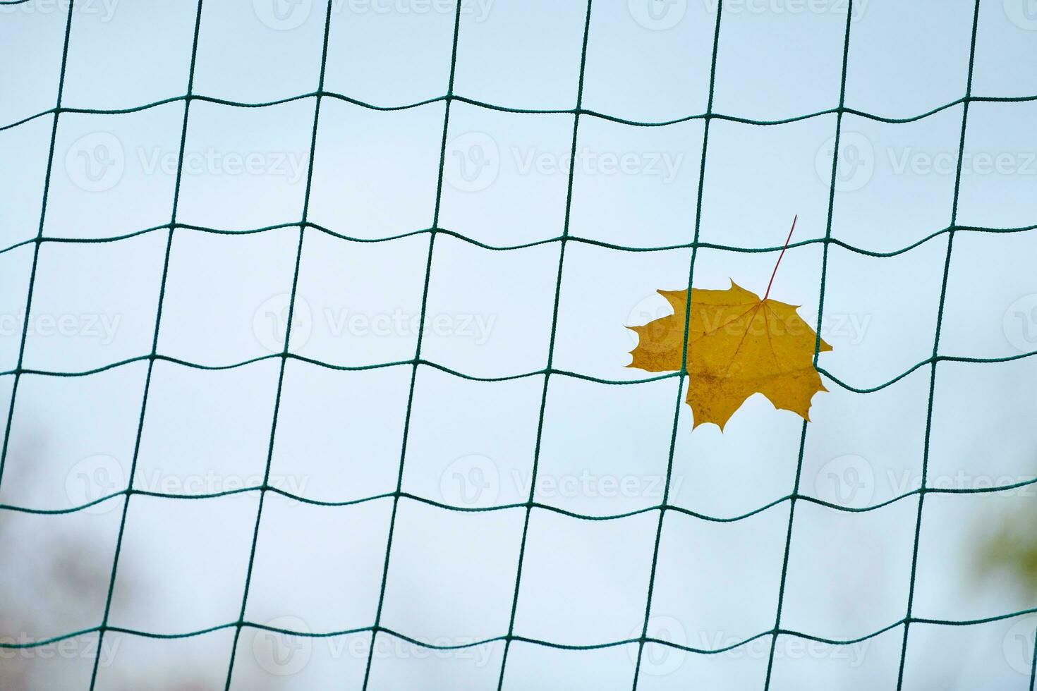 fim do conceito de temporada de esportes foto