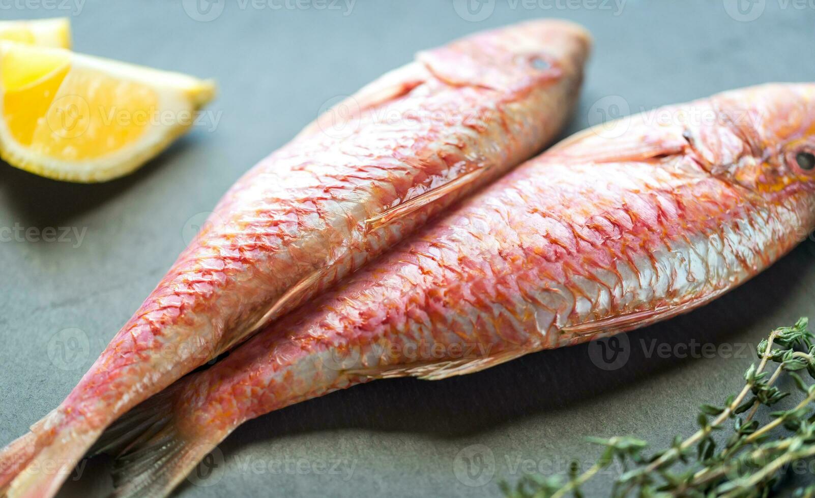 cru vermelho salmonete com ingredientes foto