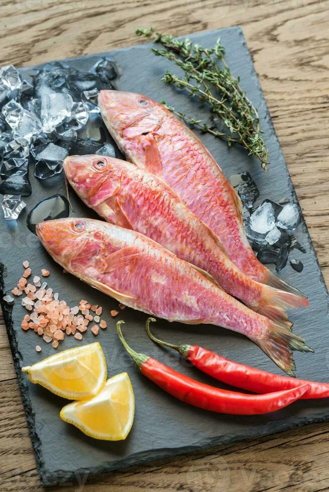 cru vermelho salmonete com ingredientes foto