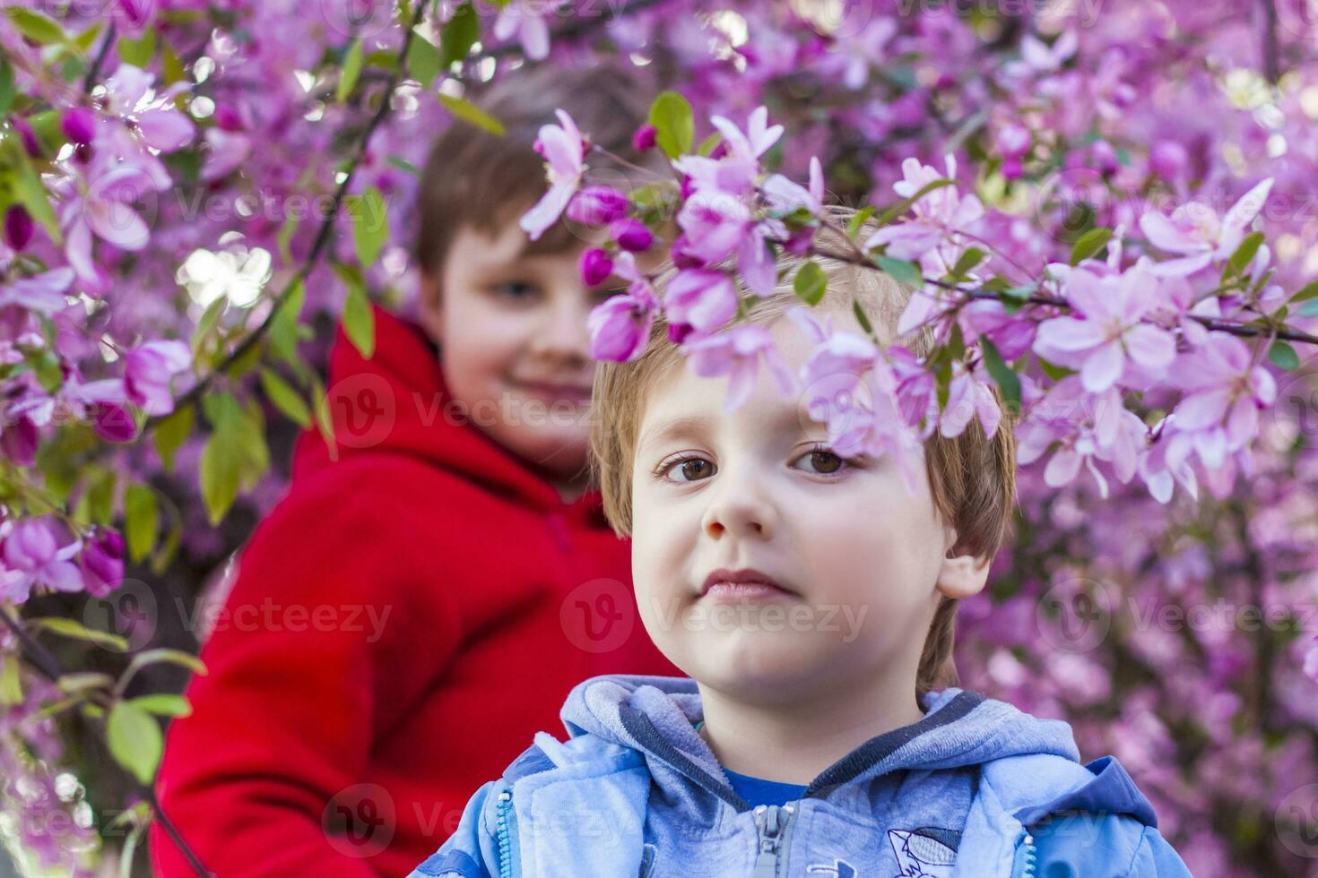 retrato do crianças dentro Rosa maçã flores. maçã árvore dentro florescer. Primavera floração do a maçã Pomar. fundo para apresentações, cartazes, bandeiras, e cumprimento cartões. foto