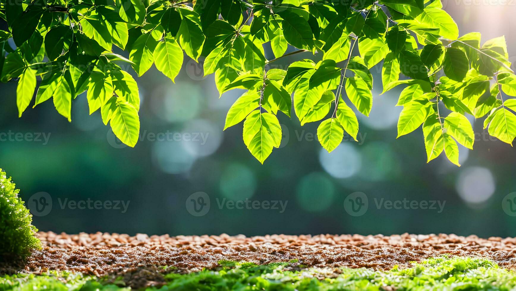 fechar-se do lindo natureza Visão verde folha em borrado vegetação fundo dentro jardim foto