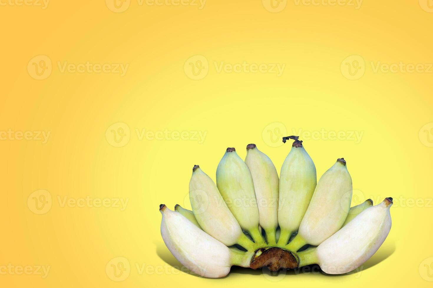 ducasse banana este estão lindo e pronto para comer. foto