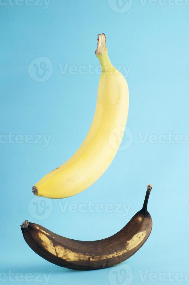 bananas frescas e podres sobre fundo azul. foto real de uma banana fresca levitando fundo azul ob.