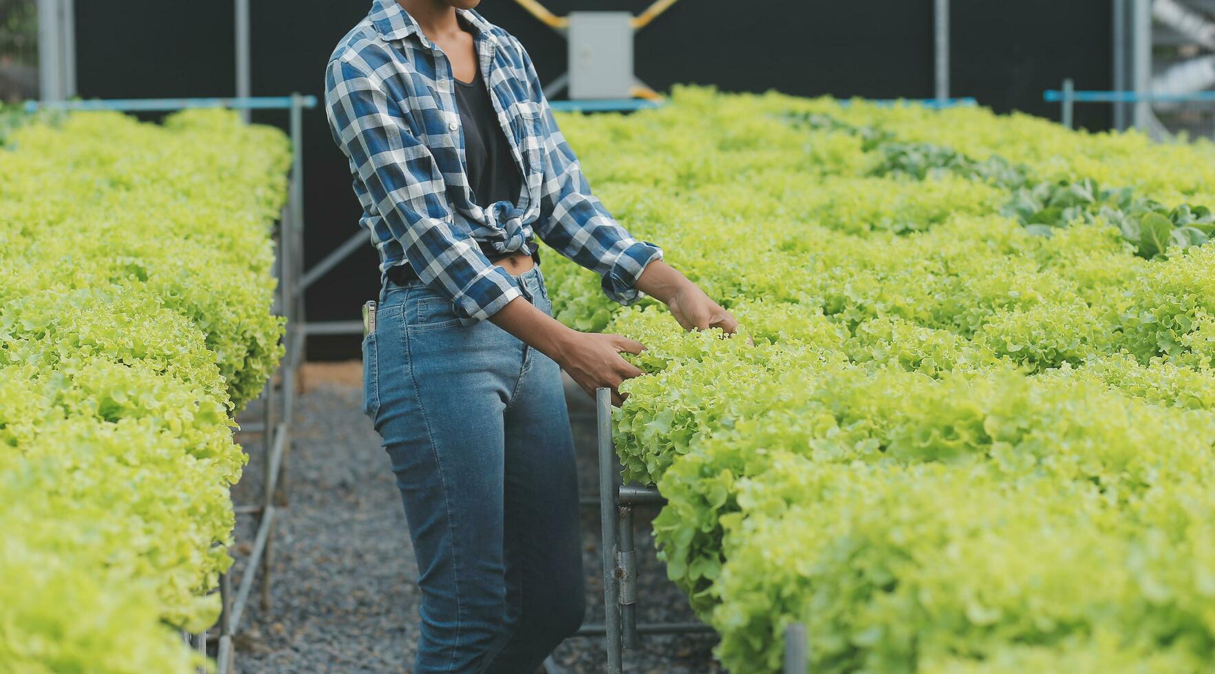 ásia mulher agricultor usando digital tábua dentro vegetal jardim às estufa, o negócio agricultura tecnologia conceito, qualidade inteligente agricultor. foto