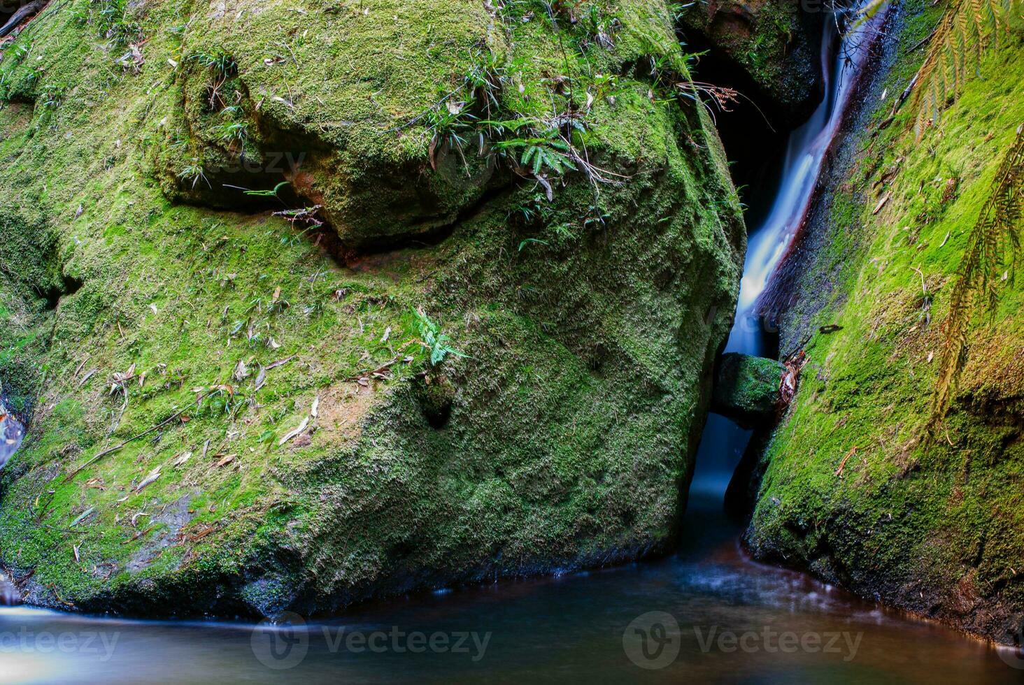 grandes exposição fluindo água às grande desfiladeiro ciclo azul montanhas nsw Austrália foto