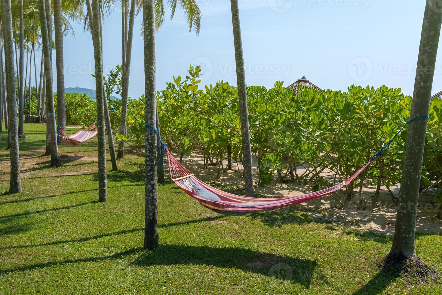 praia tropical com rede sob as palmeiras ao sol foto