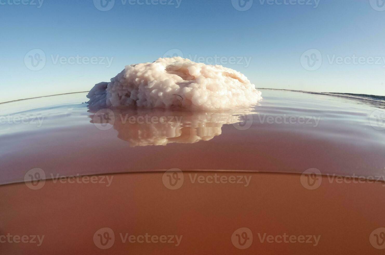 uma Rosa blob flutuando dentro a água foto