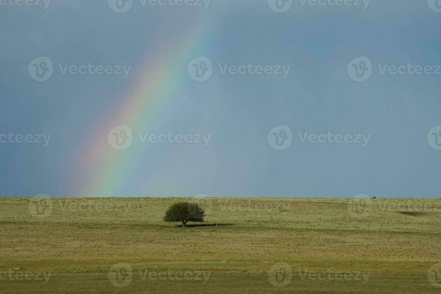 uma arco Iris parece dentro a céu sobre uma campo foto