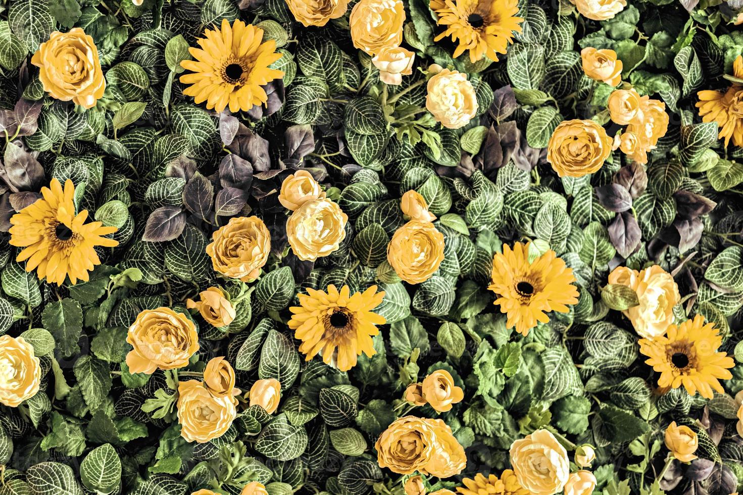 fundo de primavera crisântemos amarelos artificiais e rosas peônia no jardim. foto