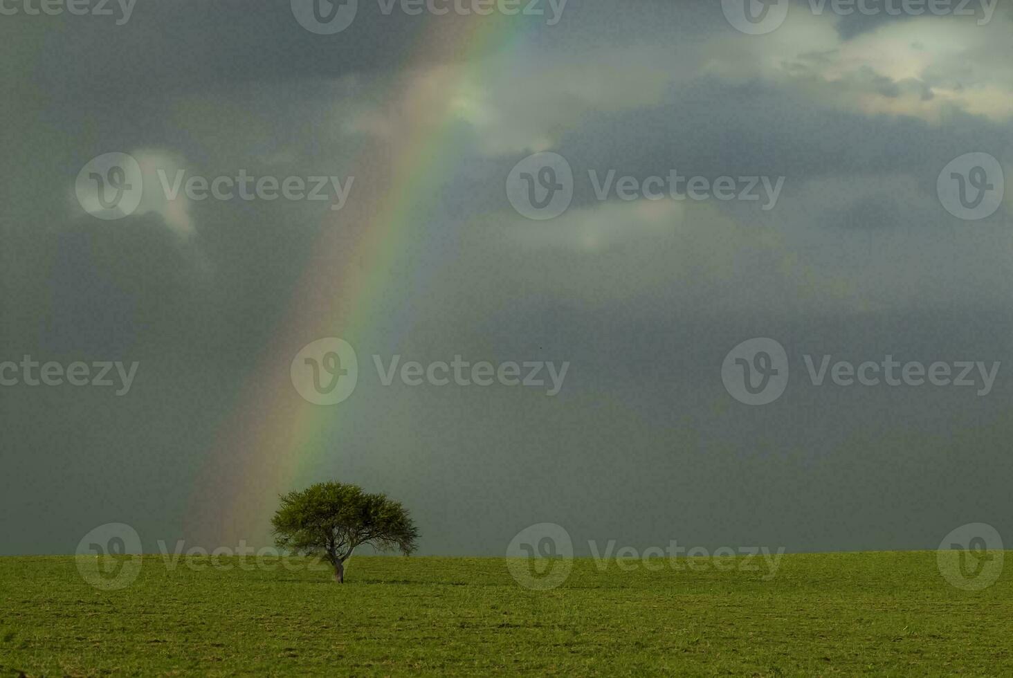 uma arco Iris dentro a céu foto