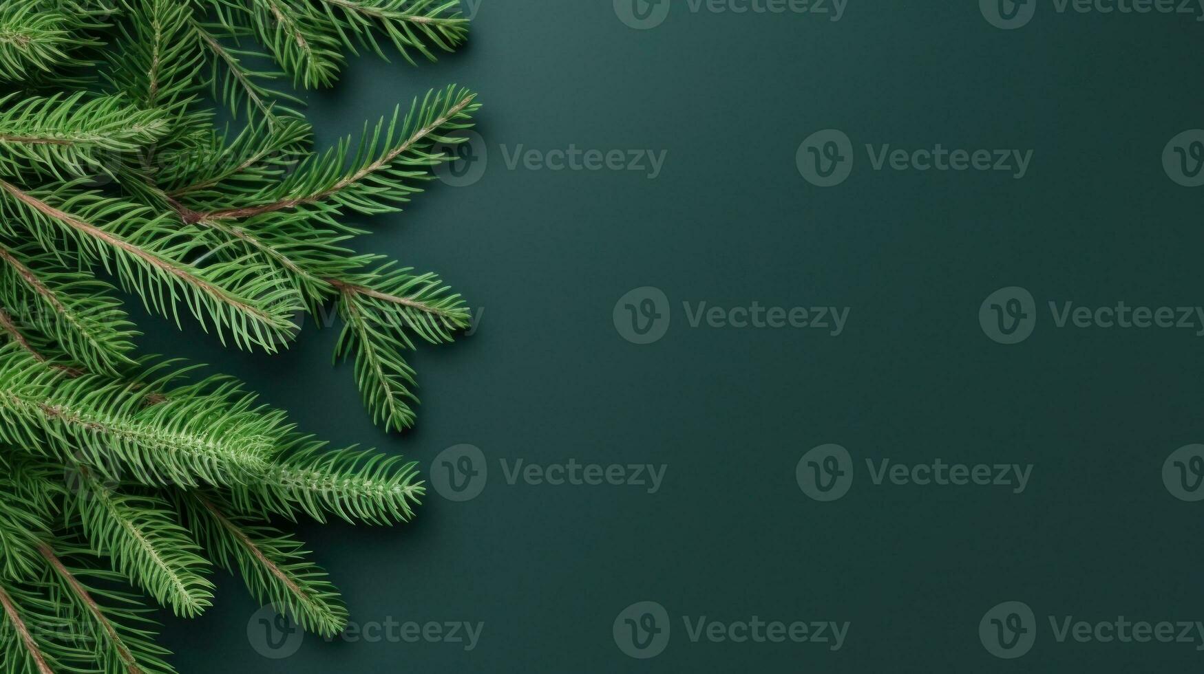Natal abeto ramo em verde fundo foto