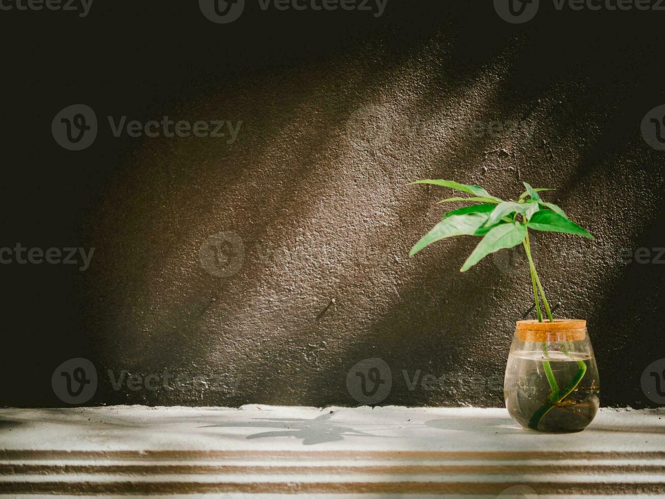 plantar vaso em a sacada dentro a tarde foto