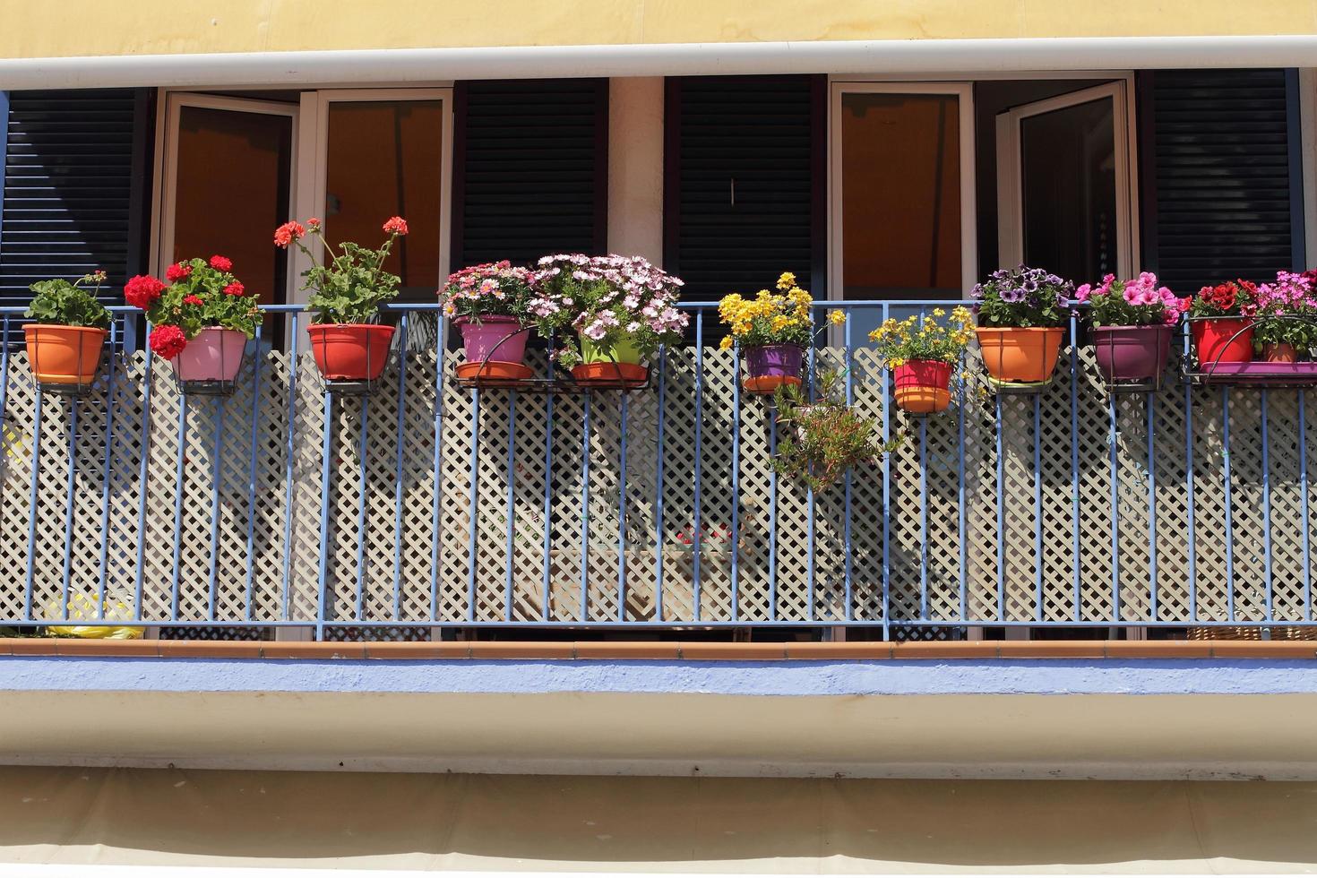 decoração de flores na varanda azul diferentes tipos de flores espanha foto