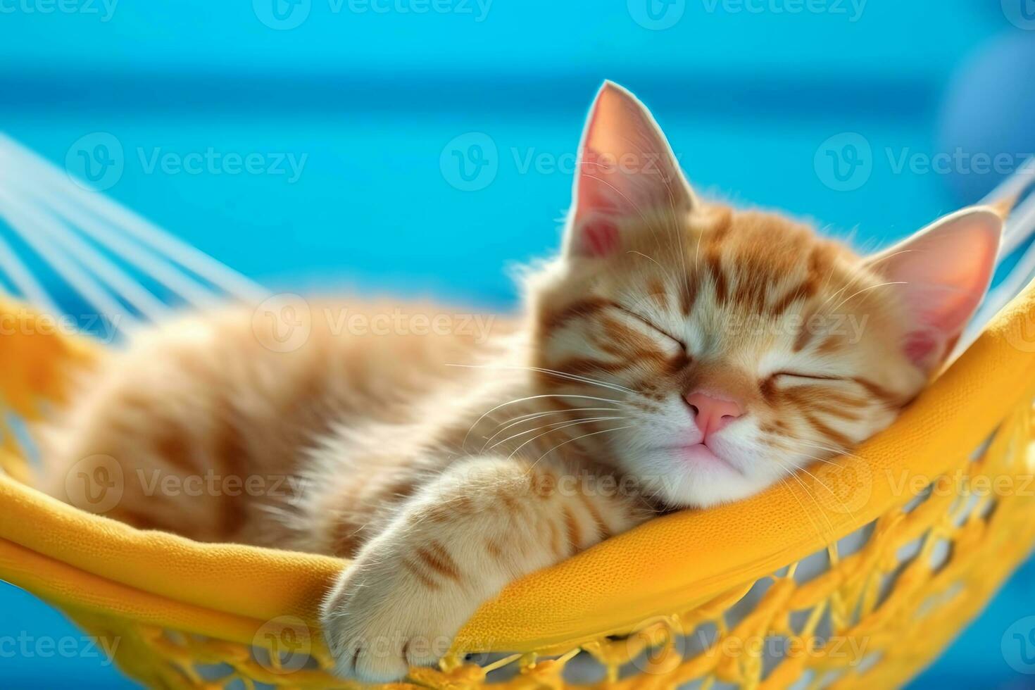 fofa gengibre gatinho dormindo dentro uma maca. internacional gato dia. generativo ai foto