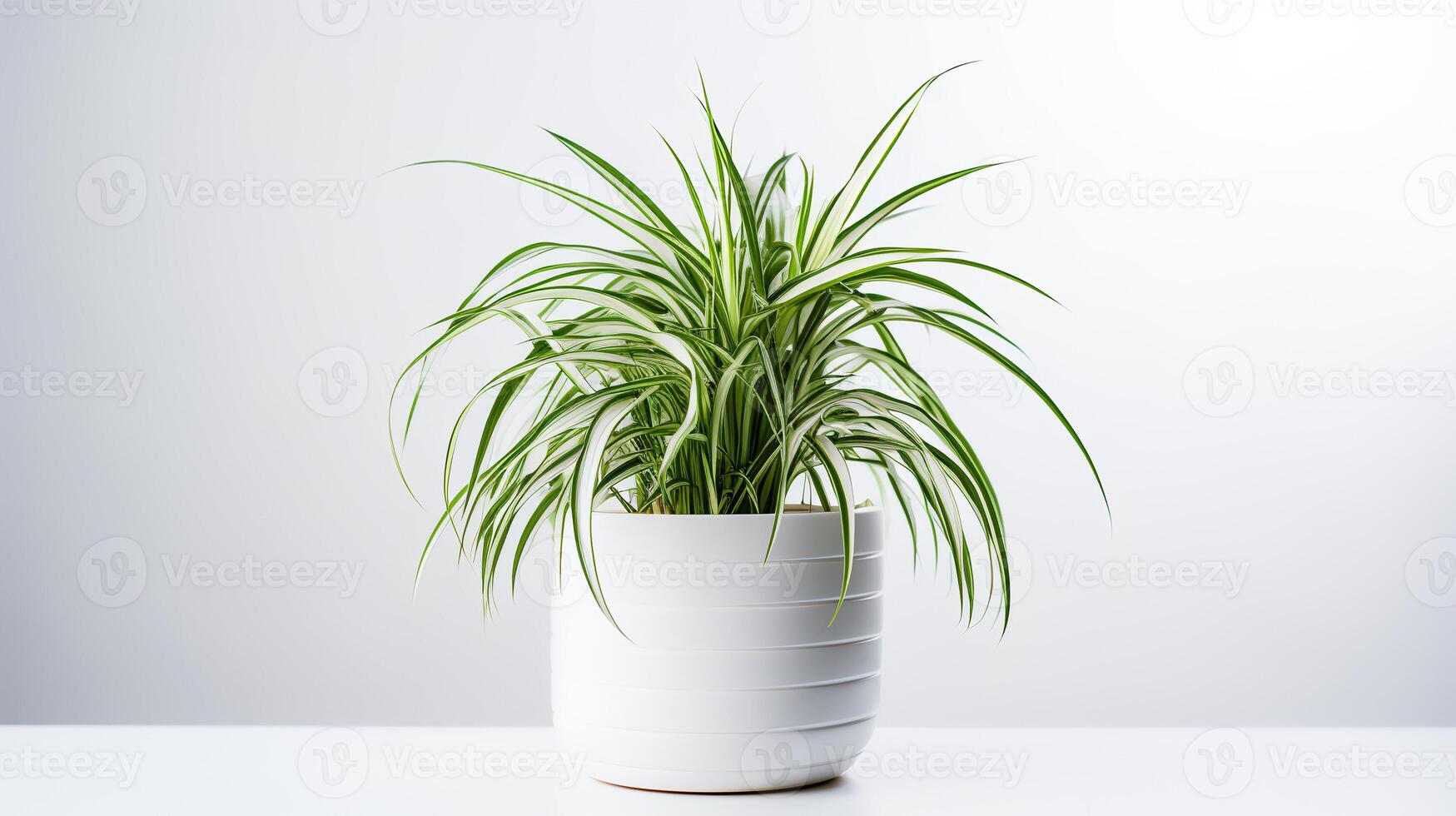 foto do aranha plantar dentro minimalista Panela Como planta de casa para casa decoração. generativo ai