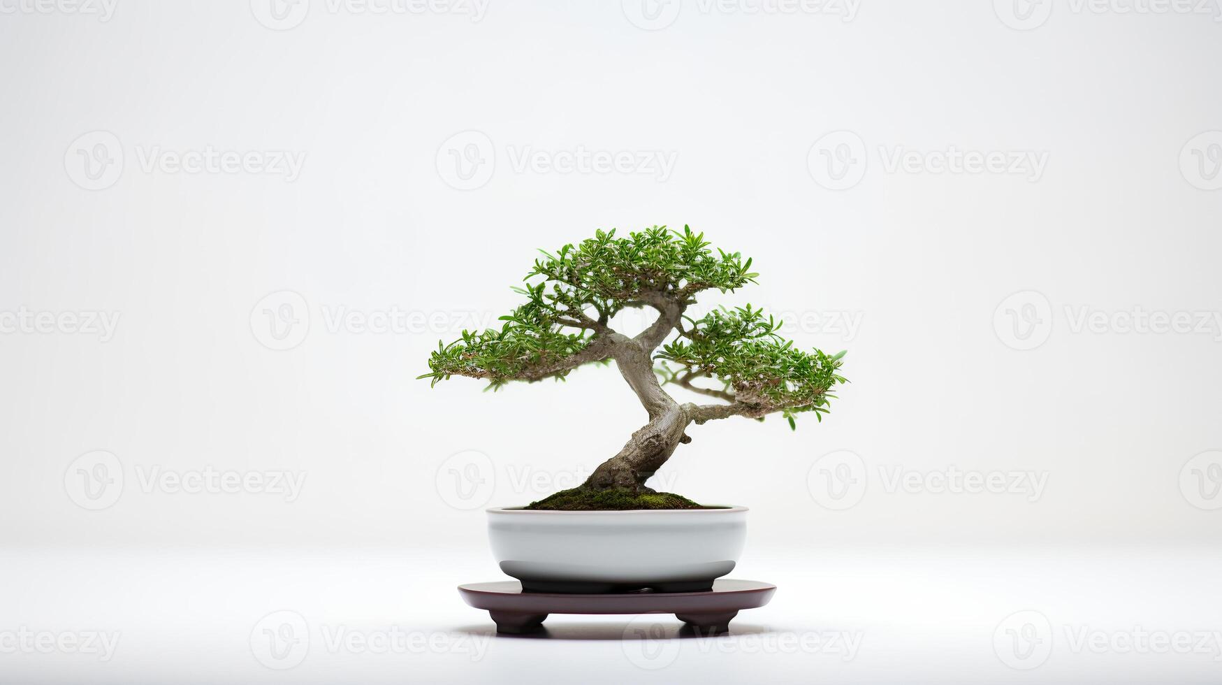 foto do bonsai dentro minimalista Panela Como planta de casa para casa decoração isolado em branco fundo. generativo ai