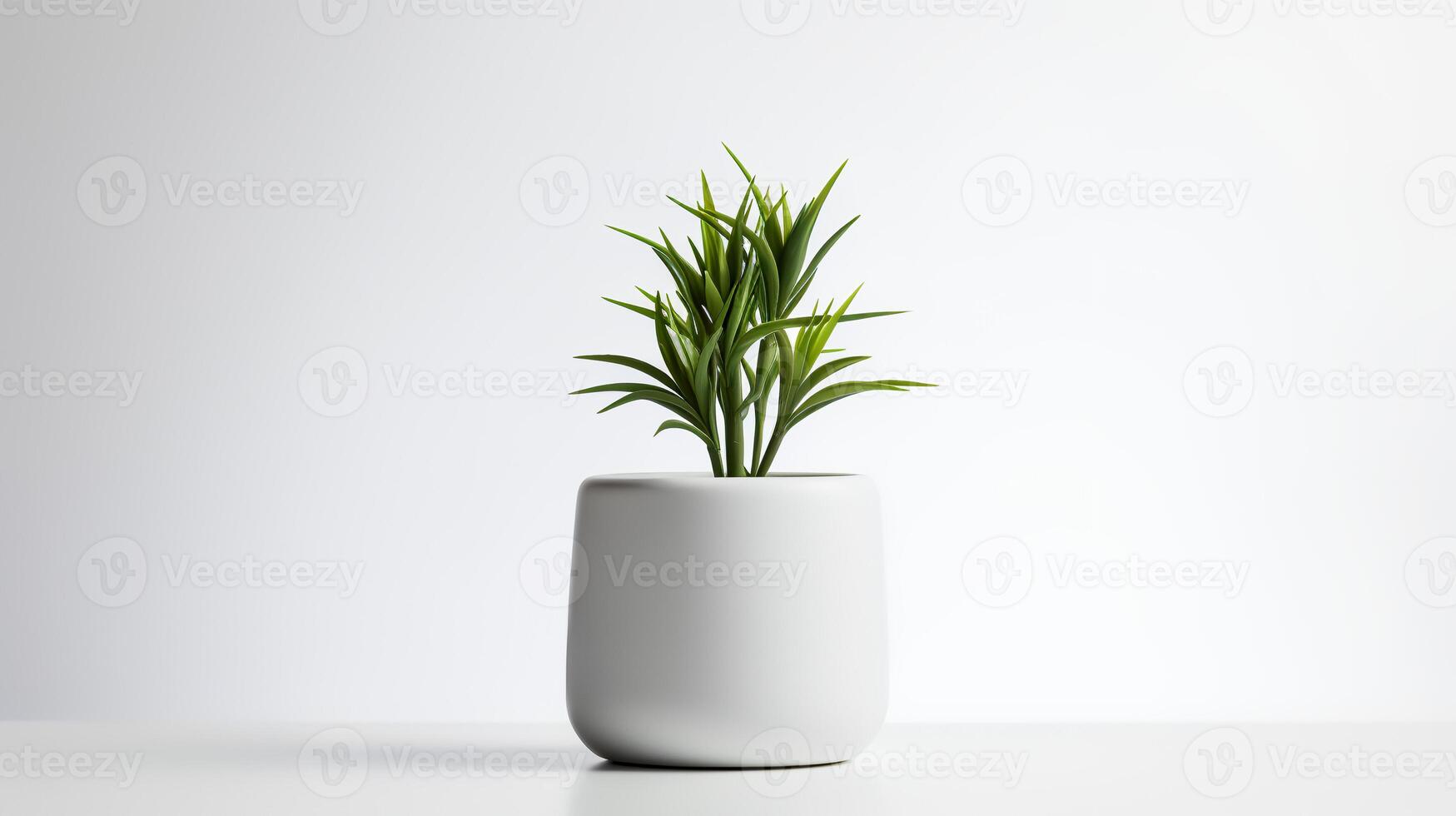 foto planta de casa dentro minimalista Panela para casa decoração. generativo ai