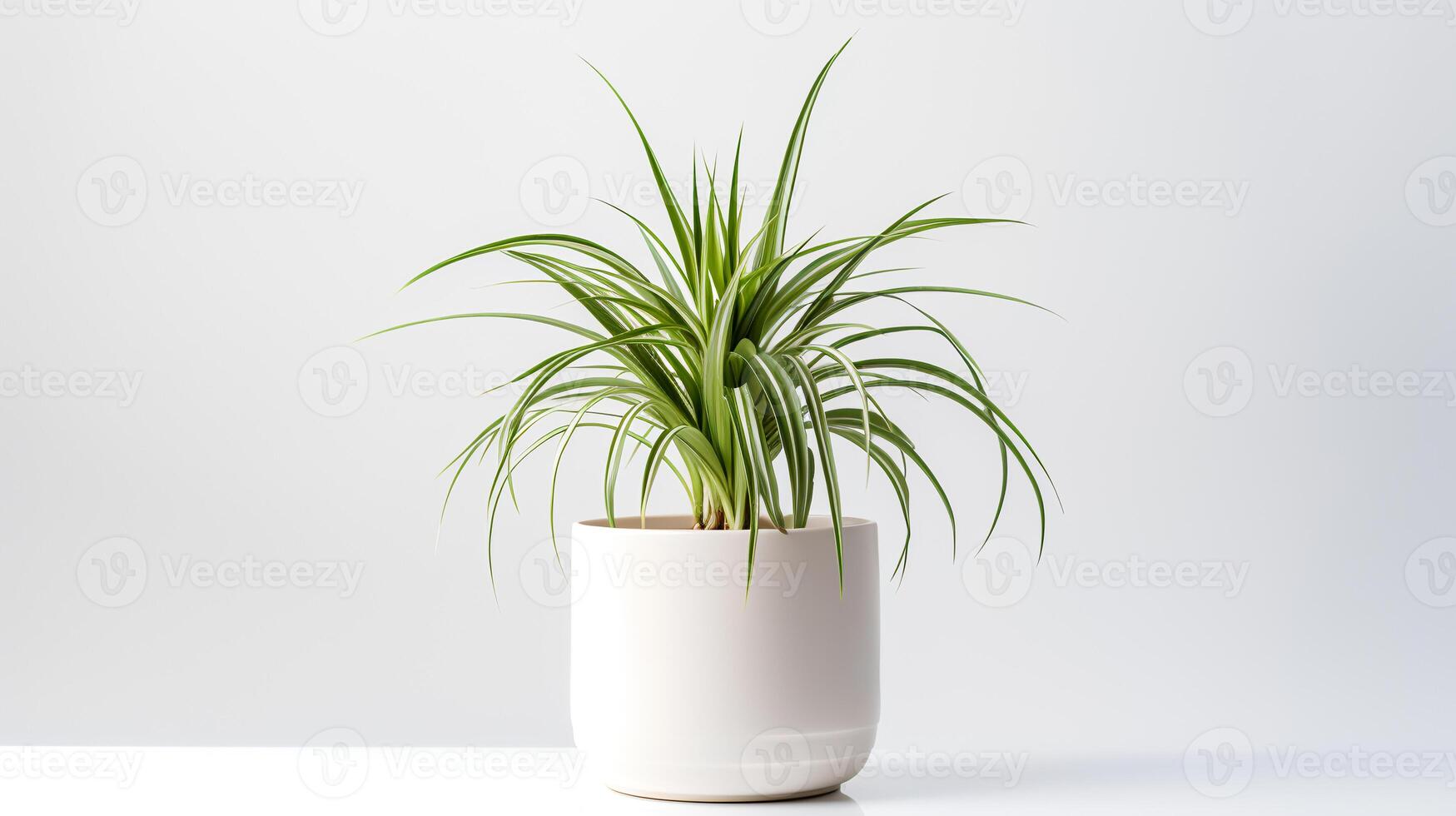 foto do aranha plantar dentro minimalista Panela Como planta de casa para casa decoração. generativo ai