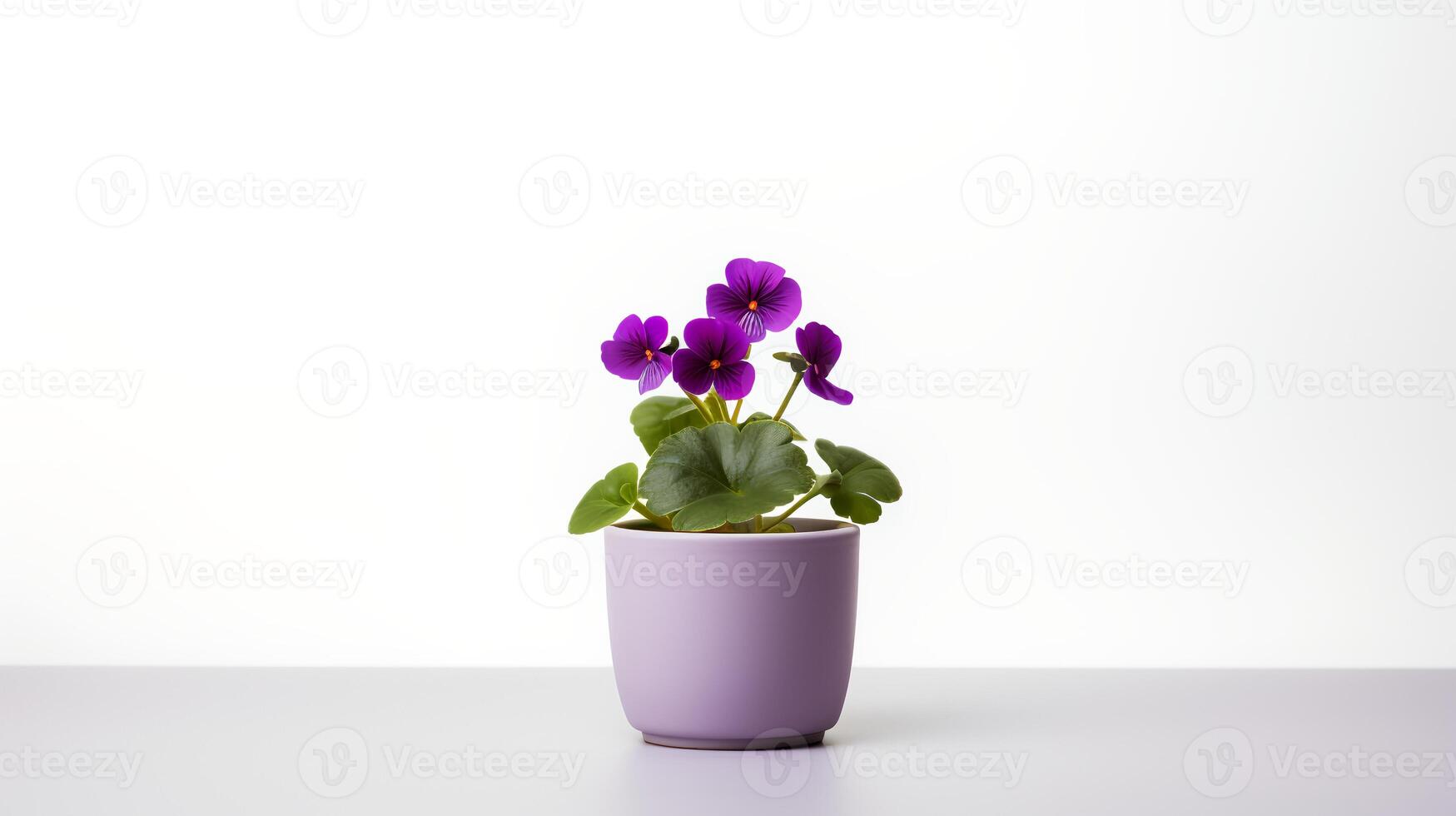 foto do tolet flor dentro minimalista Panela Como planta de casa para casa decoração isolado em branco fundo. generativo ai