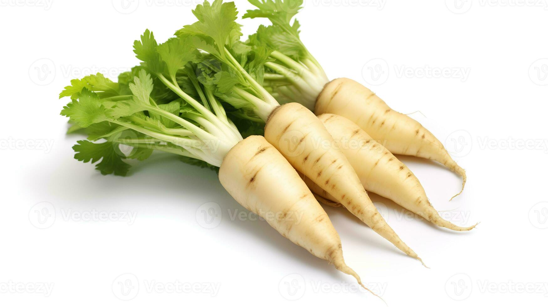 foto do Parsnips isolado em branco fundo